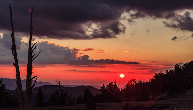 Lo sciame meteorico delle Perseidi in un fantastico timelapse