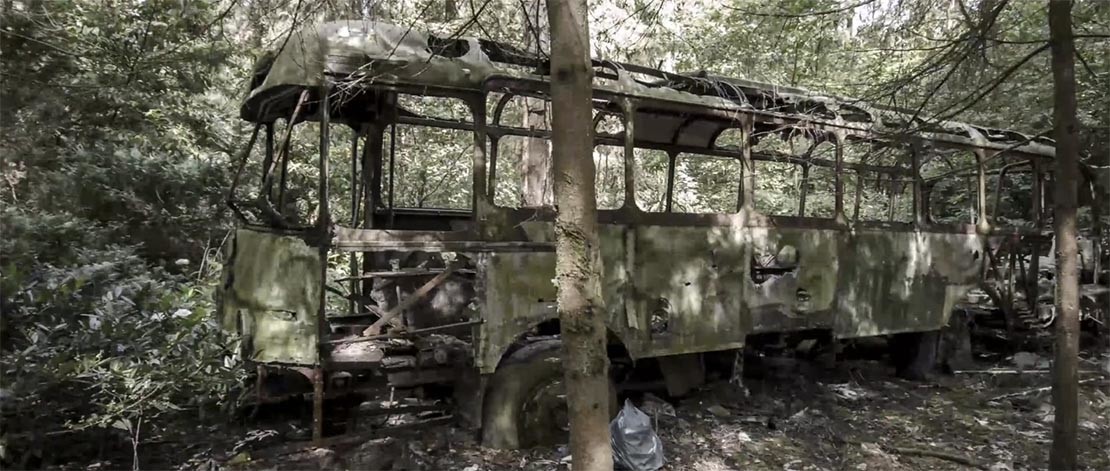 La storia di un autobus lasciato al totale decadimento nella foresta