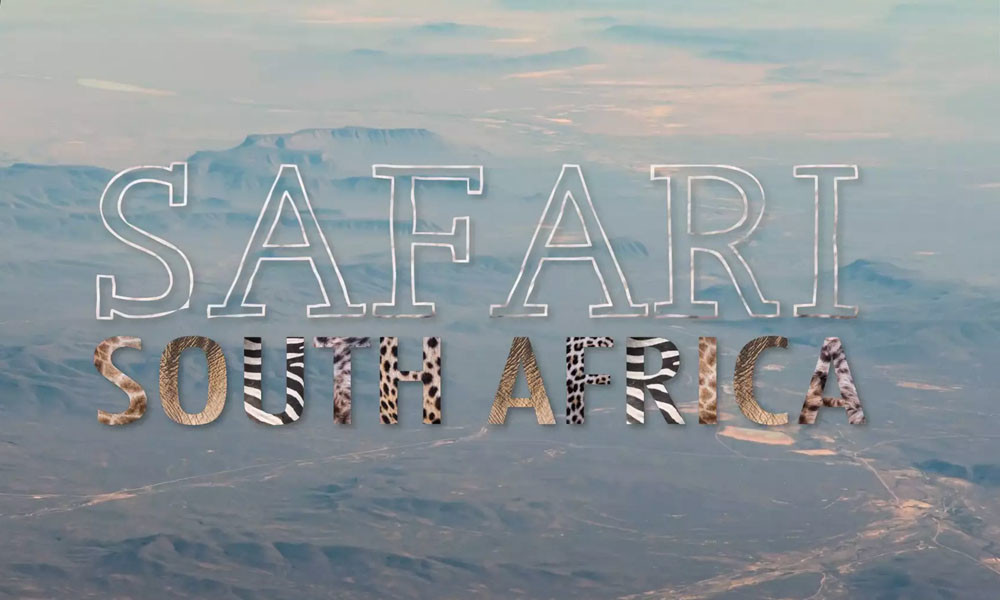 Safari South Africa | A Time-Lapse Film in 4K, di Tyler Fairbank