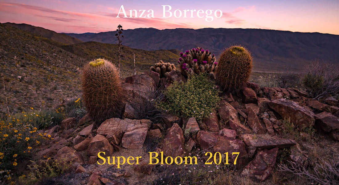 Benvenuti al Parco statale del deserto di Anza-Borrego