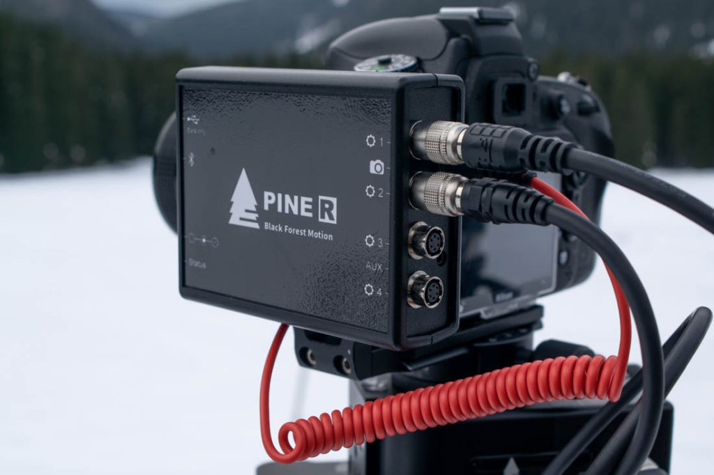 Black Forest Motion - Pine R