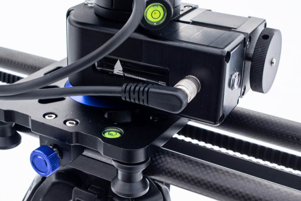 Black Forest Motion - NT Head